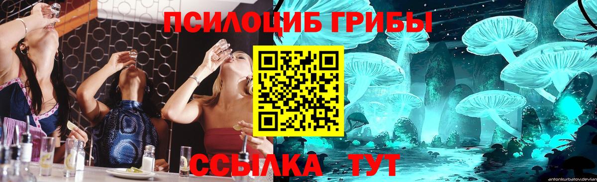 Людиново  Галлюциногенные грибы Magic Shrooms  Вход с VPN 